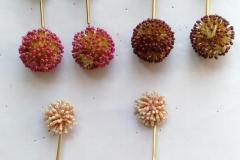 IMG-20190920-WA0043